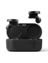 denon ausines - Denon PerL Black (Juodos) - 14 nuotrauka