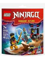lego drakonas - LEGO Ninjago Arino mūšis su drakonu 30700 - 1 nuotrauka