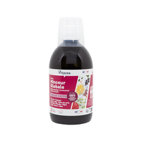 lieknejimo papildai - VITAVEA Lieknėjimui EXTRA MINCEUR GLOBALE, 500 ml - 2 nuotrauka