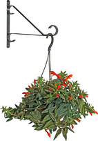 vazonai 30 cm - BESK Gėlių vazonų laikiklis ant sienos, metalinis, 30,5 cm - 1 nuotrauka