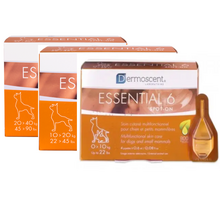 vitaminai - Dermoscent Essential 6 lašai odai ir kailiui šunims iki 10 kg, N4 - 3 nuotrauka