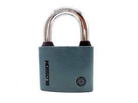 Pakabinama spyna Blossom BC2938, pilka (Grey)