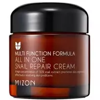 sraigiu kremas - MIZON atkuriamasis kremas su sraigių sekreto filtratu ALL IN ONE, 120 ml - 1 nuotrauka