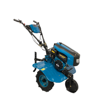 Benzininis kultivatorius - motoblokas GTM 420PRO, 7,5 AG