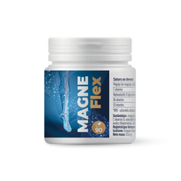 MAGNEFLEX, 90 kaps.