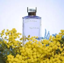 celestia - Maison Francis Kurkdjian Aqua Celestia EDT 35 ml - 2 nuotrauka