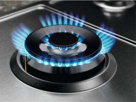 dujine kaitlente 4 - Electrolux KGS75662SX - 5 nuotrauka