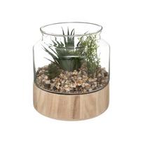 Atmosphera Dirbtinės gėlės stikliniame terariume, 17,5 cm