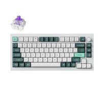 magnetic keyboards - Keychron Q1 HE Belaidė klaviatūra RGB Nebula Magnetic Switch (Balta) [Q1H-P1] - 1 nuotrauka