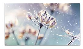 monitorus samsung - Samsung VM46B-U 46", 500NITS, 24/7 vaizdo siena (Video Wall) - 1 nuotrauka