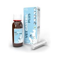 vitaminai katems - Pharmadiet Vetgastril pašaro papildas šunims ir katėms, 50 ml - 2 nuotrauka