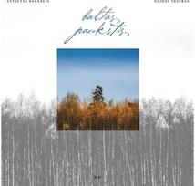 lp kernagis - VYTAUTAS KERNAGIS: BALTAS PAUKŠTIS 2LP - 1 nuotrauka