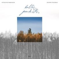 lp kernagis - VYTAUTAS KERNAGIS: BALTAS PAUKŠTIS 2LP - 2 nuotrauka