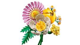 puokstes - LEGO Botanicals Linksma puokštelė 10347 - 7 nuotrauka