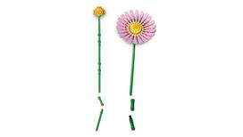 puokstes - LEGO Botanicals Linksma puokštelė 10347 - 6 nuotrauka