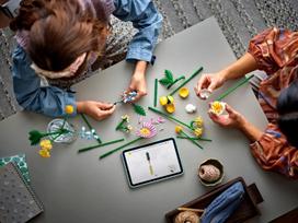 puokstes - LEGO Botanicals Linksma puokštelė 10347 - 9 nuotrauka