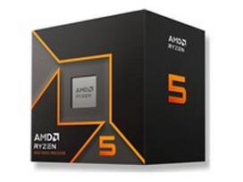 AMD Ryzen 5 9600 (6C/12T, 5.2 GHz, 38MB, AM5) Box