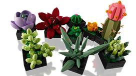 lego botanical - LEGO Botanical - Succulents 10309  - 4 nuotrauka