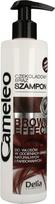 Delia Cosmetics Cameleo Brown Effect šampūnas rudiems plaukams 250 ml