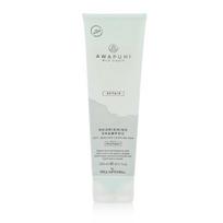 Paul Mitchell Awapuhi Wild Ginger Maitinamasis Šampūnas 250 ml