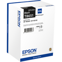 rasalai spausdintuvo - EPSON C13T865140 - 1 nuotrauka