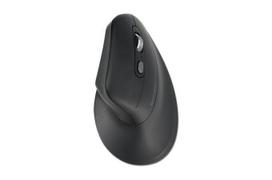 ergonomine pele - Kensington Pro Fit Ergo MY630 Black (Juoda) - 1 nuotrauka