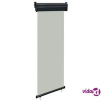 lauko pavesines - vidaXL Šoninė balkono markizė, pilka (Grey), 60x250 cm - 3 nuotrauka