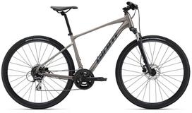 Giant Roam 3 Disc 28" Pilkas (Gray) S rėmas