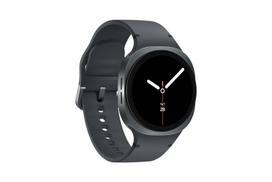 ermitazas - Samsung Galaxy Watch 8 40mm Grey (Pilkas) - 3 nuotrauka