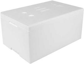 termo dezute - Arpack TB.205.C.40.STYR Termobox, polistireninė termo dėžutė su dangteliu, 32L, balta (White) - 2 nuotrauka