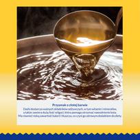 vistiena - Šlapias kačių maistas Inaba Dashi, vištiena/, 0.07 kg - 6 nuotrauka