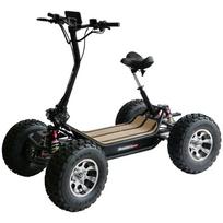 keturratis w - Beaster Scooter Elektrinis keturratis BS6000, juodas (Black) - 2 nuotrauka