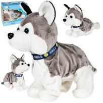 interaktyvus zaislas dog - Malplay Minkštas žaislas Interaktyvus Husky šuniukas - 1 nuotrauka