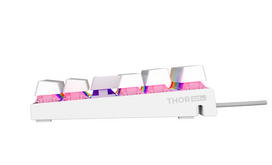 silent keyboard - Genesis Thor 303 TKL, mechaninė klaviatūra žaidimams, laidinė, US, balta, Outemu Peach Silent (NKG-2063) - 6 nuotrauka