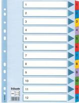 Kartoniniai spalvoti skiriamieji lapai ESSELTE, 1-12, A4