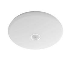 judesio daviklis - Philips Mauve, 16W, 4000K, LED, su judesio davikliu - 1 nuotrauka
