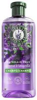 HERBAL ESSENCES LAVANDA ANTI-FRIZZ šampūnas 350 ml