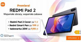 paddavi - Dėklas Xiaomi Redmi Pad 2 Pilkas (Gray) - 1 nuotrauka