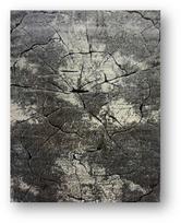 Kilimas RICCO Miami, 120 x 180 cm, polipropilenas/poliesteris, pilkos spalvos (0129), 15B-1S1218