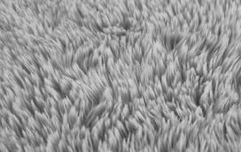 Kilimas ANDIAMO Alpa, 120 x 160 cm, pilkos spl., 100 % poliesteris, 703067