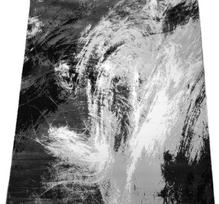 Kilimas RICCO Artiste Ii, 140 x 190 cm, 70%  poliesteris/30% akrilas, pilkos spalvos, 41H-1S1419