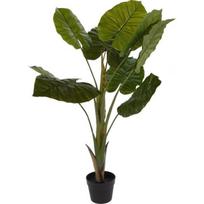 Dirbtinis augalas vazone, ALOCASIA WENTII, žalia, 110 cm
