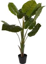 geliu vazonai - Dirbtinis augalas vazone, ALOCASIA WENTII, žalia, 110 cm - 2 nuotrauka