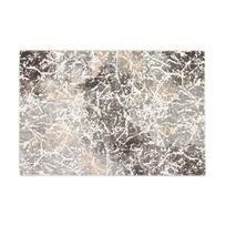 Kilimas Zoe 2060/OL9-L, įvairių spalvų/ruda, 235 cm x 160 cm