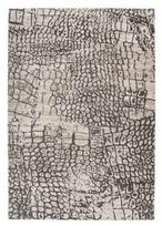 Kilimas vidaus Kayoom Davio 300 DUA73-120-170, pilkas, 170 cm x 120 cm