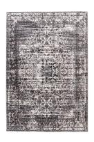 Kilimas vidaus Arte Espina Saphira 500 D99LC-200-290-E, pilkas, 290 cm x 200 cm