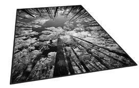 Kilimas vidaus Conceptum Hypnose ELS1902, juodas/pilkas, 230 cm x 160 cm
