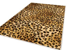 Kilimas vidaus Conceptum Hypnose ELS2086, rudas/juodas, 230 cm x 160 cm