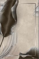 Kilimas Conceptum Hypnose ELS2435 - 4, įvairių spalvų, 180 cm x 120 cm