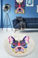 Kilimas Conceptum Hypnose Cane ap, įvairių spalvų, 120 cm x 120 cm
